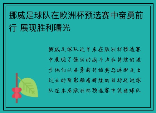 挪威足球队在欧洲杯预选赛中奋勇前行 展现胜利曙光