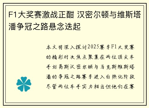 F1大奖赛激战正酣 汉密尔顿与维斯塔潘争冠之路悬念迭起