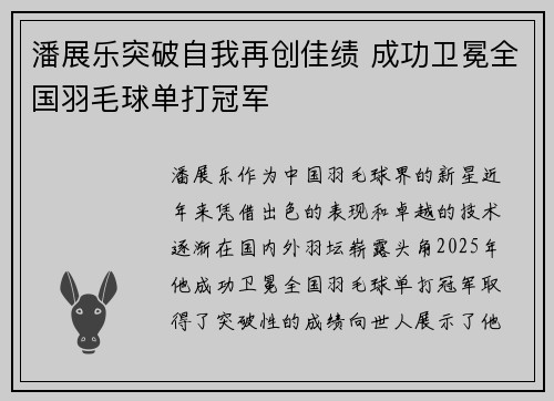 潘展乐突破自我再创佳绩 成功卫冕全国羽毛球单打冠军